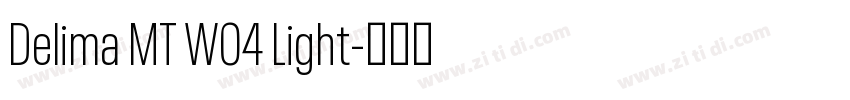 Delima MT W04 Light字体转换
